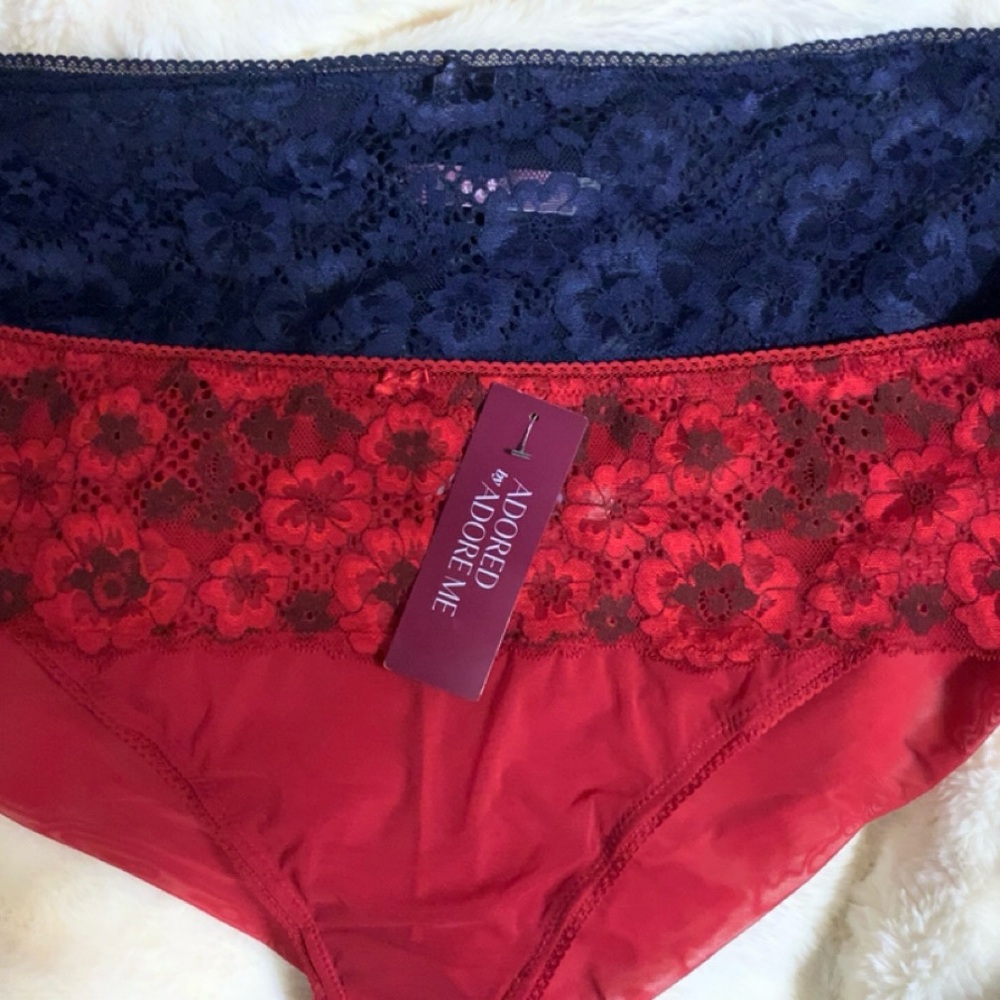 Adore Me Chelsey Cheeky Panties 2 Pair New!